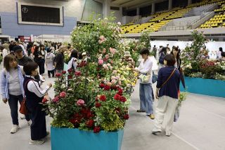 福山ばら祭２日間で４７・３万人来場　ローズエキスポは２・１万人