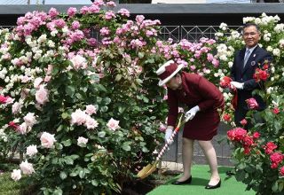 信子さま 福山ばら公園でお手植え　名前冠した「プリンセスノブコ」