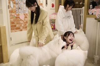 “チームゆいちゃん”櫻井優衣&村川緋杏&庄司なぎさ、ご褒美ロケでモフモフ犬&高級料理に大興奮「勝者過ぎる！これはキング」
