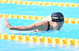 【中国高校水泳から】岡山勢延べ２９人、７チーム　全国切符獲得