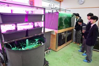 ベニザケと寒冷地野菜 同時に育てる　東岡工高生 設備拡張へＣＦ
