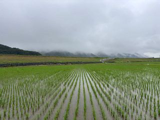 まび日誌－被災記者から「豪雨８年」　意識高め備え再考を