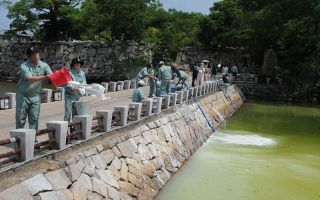 岡山城内堀の水質を透明に　岡山工生らアオコ抑える実証実験