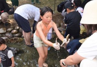 アマゴつかみ 子どもら笑顔　鏡野・富で「ひらめ祭」