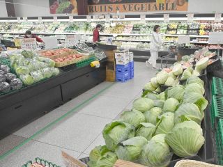 【データを読む】岡山市の野菜購入額急増　25年家計調査、市の施策の影響は？