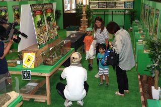 ムシバッカ王国と巨大プール登場　ヘラクレスオオカブトに触れるよ