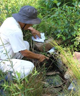 希少なトンボ舞うヒイゴ池湿地（総社）　少雨にポンプ故障で水不足　昆虫、植物の生息環境悪化に危機感　