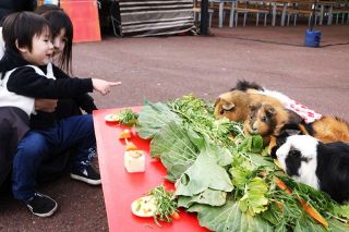 一年健康にね 動物たちへ恵方巻き　池田動物園 飼育員願い込め手作り