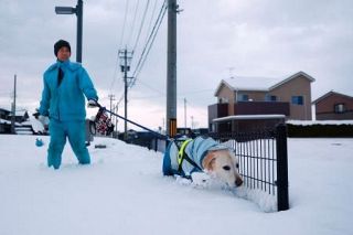 石川に「顕著な大雪」情報　日本海側、３連休も警戒を