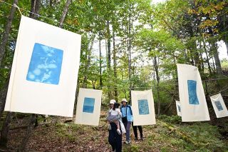 木々や木漏れ日生かしアート展示　西粟倉で文化イベント「森々燦々」
