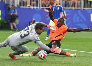 オランダ５―１スウェーデン　ブロビーとハクポが２ゴール