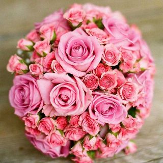 3人組バンドDios・ササノマリイ、結婚を報告　お相手は画家「知り合って19年」