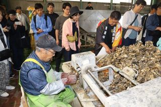 ＪＲ西ツアー 観光客が笠岡・北木島の魅力堪能　養殖カキ業者訪問、光劇場や採石場も