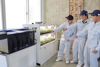 アクアポニックスに挑戦　真庭高 持続可能な農法学ぶ