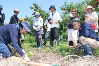 おかやま葡萄酒園、事業規模拡大　手軽さ受け会員増、耕作放棄地活用