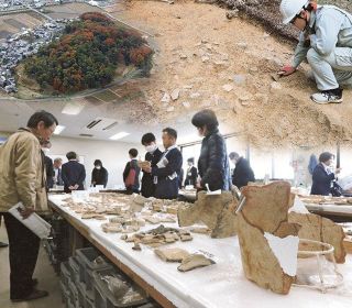 珍しい形状、埴輪の特徴判明　作山古墳の初年度調査成果