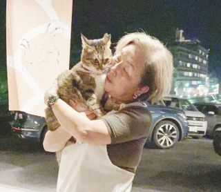 野良猫に不妊手術「ＴＮＲ活動」　真庭のＮＰＯ法人 ＣＦで資金募る