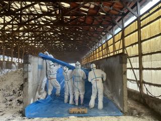 兵庫・姫路鳥インフル　美作の施設で消毒完了