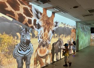 駅前でサファリ体験！　福山市ネウボラセンターで無料イベント