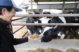【岐路に立つコメ】第１部　高騰ショック④畜産　主食用シフトで餌用不足