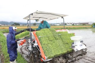 「岐路に立つコメ」第２部あえぐ農家　①厳しい収支　需要低迷、資材費高騰響く