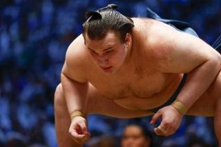 先場所優勝の安青錦が大関復帰　藤ノ川新関脇、伯乃富士が新小結