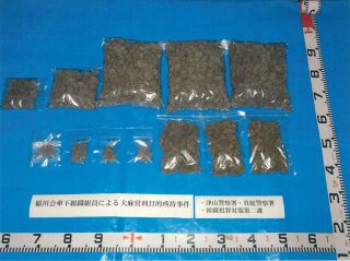 大麻を営利目的で所持 暴力団組員の男逮捕　容疑で津山署など