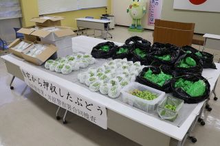 ブドウ２００房盗んだ男逮捕　容疑で美咲署など