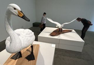 野鳥の姿、生き生きと　木彫作家・門永哲郎さんの作品展 瀬戸内市立美術館で開幕