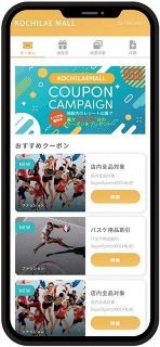 相関関係のある店のクーポン発行　リゾーム、商業施設向け買い回り策
