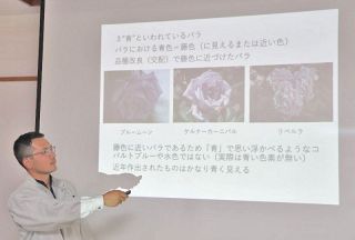 「園芸と科学」半田山で学ぼう　２５日の第１弾テーマは青いバラ