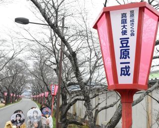 ＪＯ１豆原さんへ真庭からエール　久世トンネル桜に応援ぼんぼり