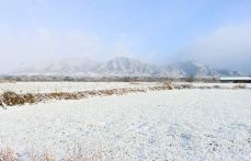 うっすら雪化粧　真庭市蒜山地域