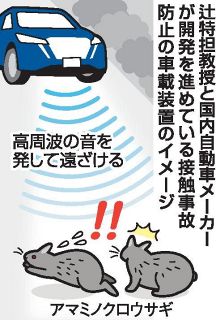 車と野生動物の接触事故防止へ　岡山理科大の辻氏など装置開発中