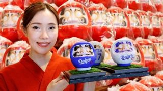高崎の老舗、大谷選手イメージのだるま制作　青、白、グレーの特別デザインで歴史紡ぐ