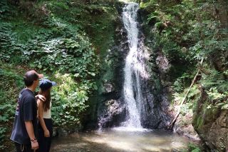 涼求める観光客ら次々　津山・横野滝にぎわう