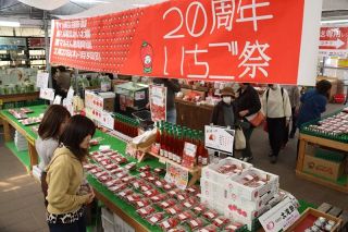 開園２０周年記念「いちご祭り」　農マル園芸吉備路農園、９日まで