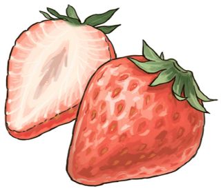 【食材ノート】イチゴ　多彩なスイーツの材料に