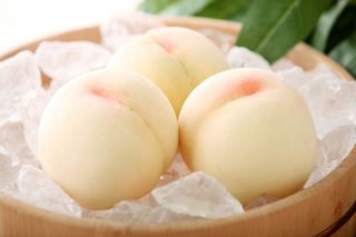 岡山の白桃を４０分食べ放題　美作農園で２８日からイベント
