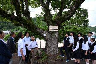 林野高の魅力向上、存続を　美作の社団法人 巨木３本シンボルに