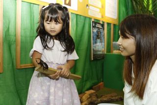 「ムシバッカ王国」会期終盤に　吉備中央 世界のカブト１５０匹