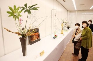 春の花々、工夫凝らした力作展示　池坊西大寺支部「会陽」テーマに