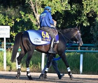 天皇賞、マスカレードボール好調　１１月１日、最終追い切り