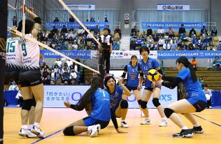 シーガルズ ２連勝ならず　ホームで群馬に１―３で敗れる