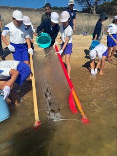「大きく育って」メバル稚魚を放流　玉野市３小の児童、３７００匹