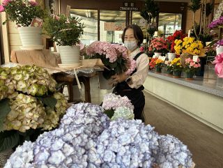 母の日にコスパ高いギフトを　岡山で商戦活発化、花やスイーツＰＲ