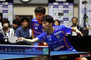 リベッツが２４、２５日に津山でホーム２連戦 卓球Ｔリーグ男子