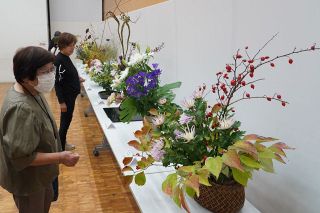 ８流派競演 倉敷でいけばな展　ススキやコスモス 秋の風情漂う