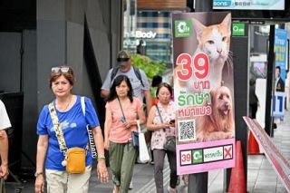 【世界の街から】犬猫候補
