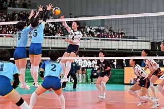 就実が快勝でファイナル切符 夏の女王・金蘭会と激突へ 全日本高校バレー